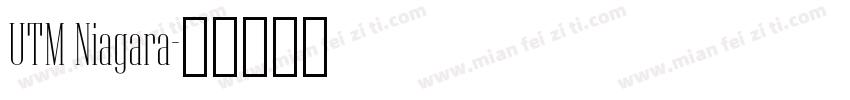 UTM Niagara字体转换